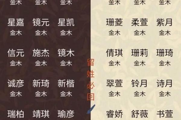 2019年4月28号卯时出生的男孩应该起什么样的名字姓名