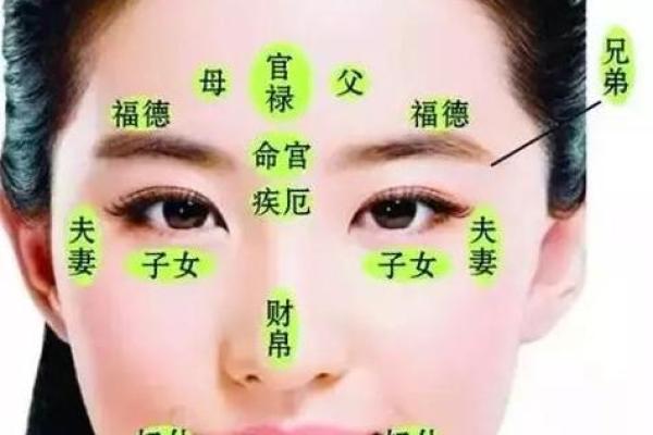 面相算命入门：五行与相貌