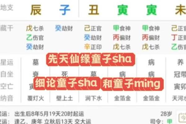 假童子命八字是怎样的，假童子命八字可以推算