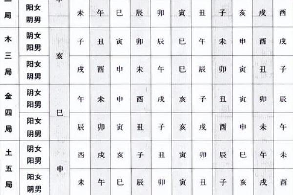 龙德紫薇斗数