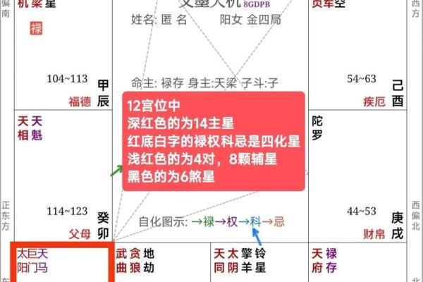 什么是紫薇星盘