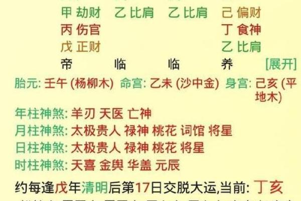 八字丁亥丙午大运
