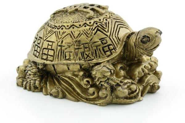 风水的方位_乌龟代表哪个方向