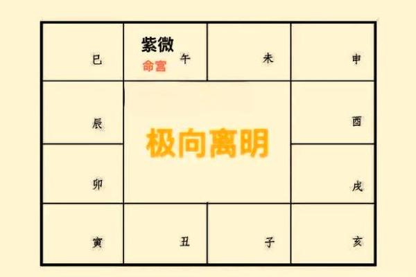 紫薇斗数无格局