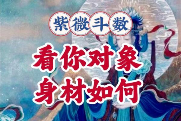 紫薇斗数看自身成就