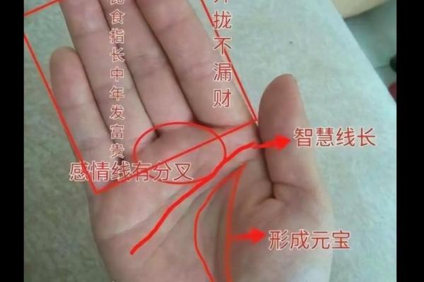 梦见看手相算命