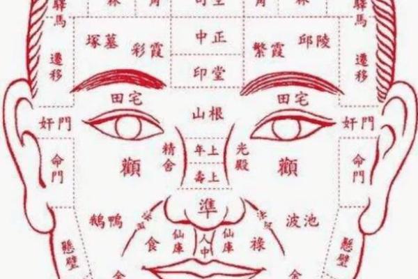 鼻头大的男人面相在风水中有哪些含义