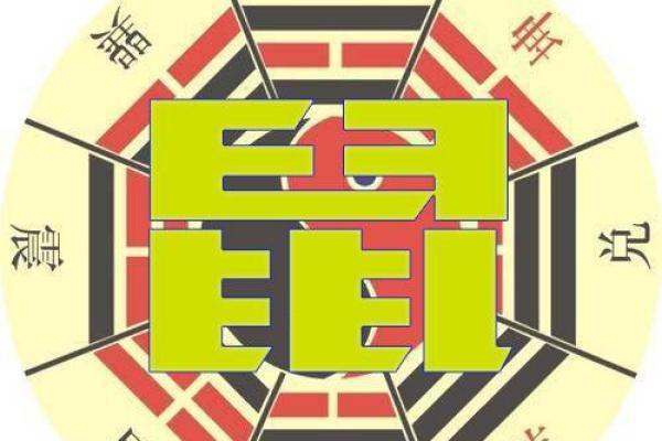 属鼠人风水吉凶方位，如何开运