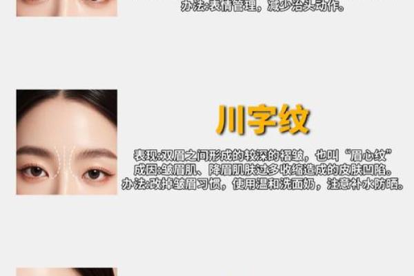 双雀纹与八字纹的区别是什么