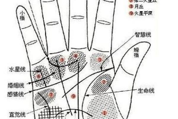 男人断掌手相算命,男人掌纹图解算命