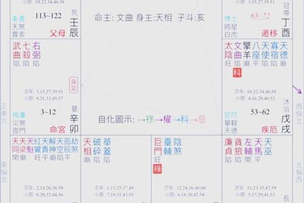 武广盛紫薇斗数