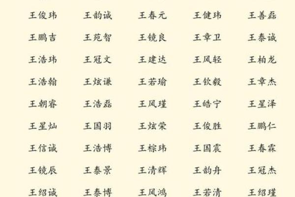 晚上8点出生的属鼠男孩的取名技巧姓名