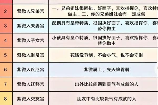 辰宫紫薇斗数