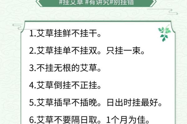 风水解答为什么不应该将艾草作为礼物送给别人