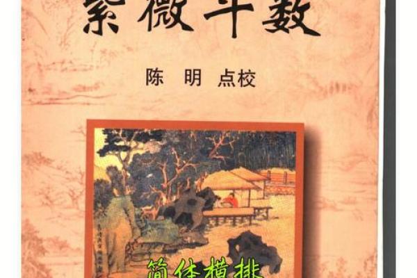 艺术紫薇斗数