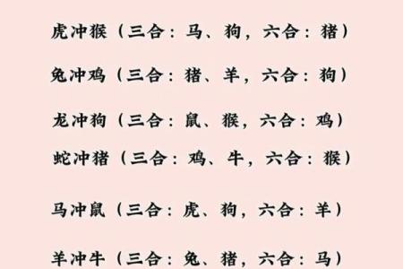 生辰八字能揭示你的生肖