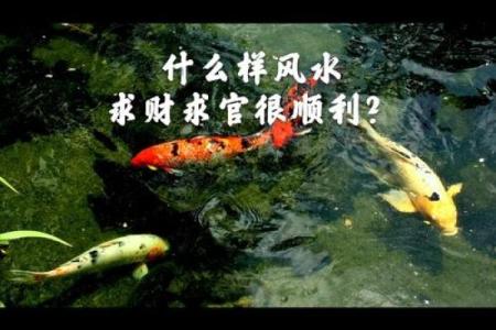 如何运用事业风水促成商务合作