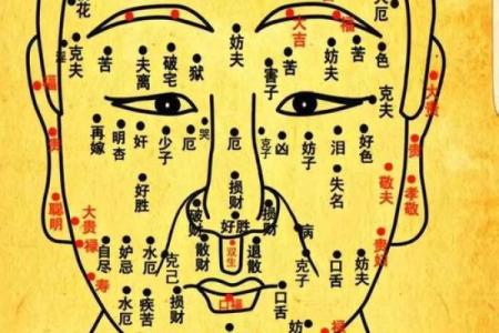 女孩十种福气耳朵图解面相风水