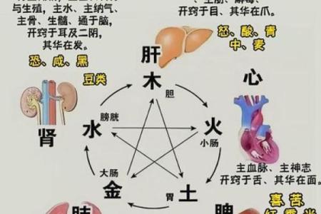叶曼一命二运三风水