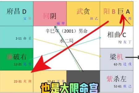 什么叫紫薇斗数限流盘
