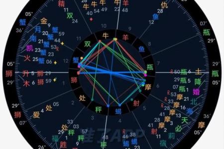 紫薇斗阿数