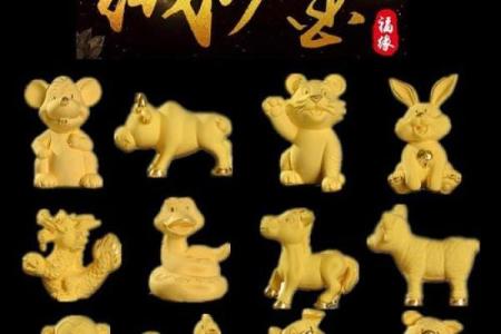 风水12生肖寿命最长的是什么动物是它吗