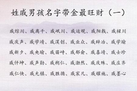 戚姓女孩名字大全-戚姓女孩起名字大全-戚姓名字大全姓名