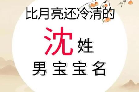 沈姓男孩名字大全-沈姓男孩起名字大全-沈姓名字大全姓名
