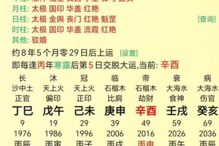 丙山壬向择吉日风水命理