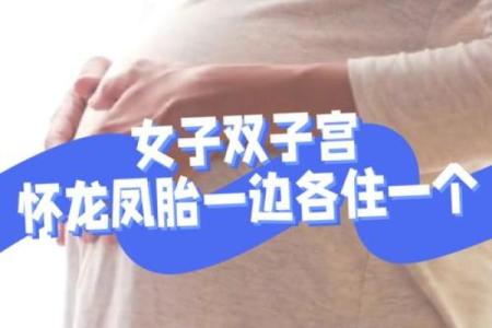 双胞胎风水，如何才能生双胞胎