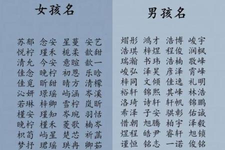 2019年3月12号子时出生的男孩应该起什么样的名字姓名
