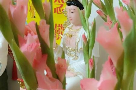 观音菩萨坐什么花