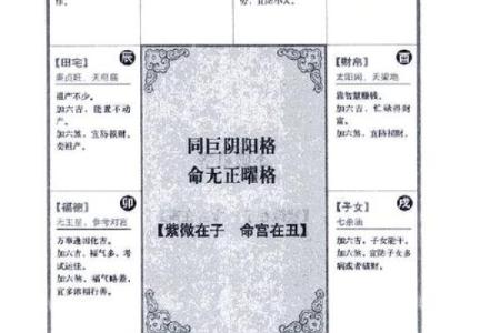 紫薇斗数阳历盘