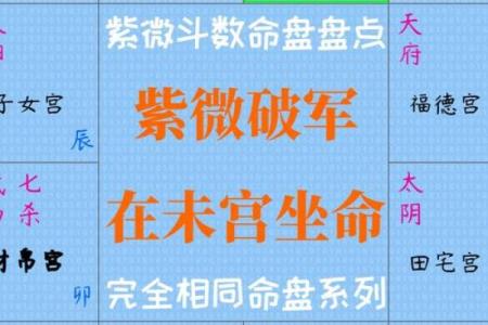 紫薇斗数命盘带帝旺是什么意思
