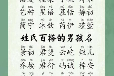 给属鼠巳时出生的男孩取名的好方法姓名