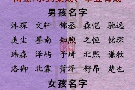 2019年4月28号卯时出生的男孩应该起什么样的名字姓名