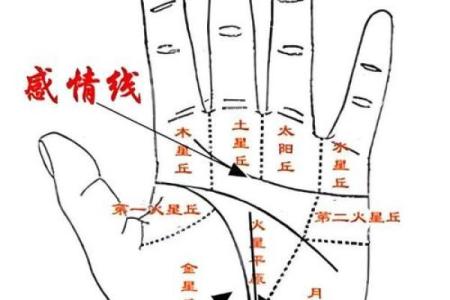 图解：手相希望线算命会得到结果