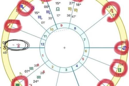 怎样查自己十二宫位 个人星盘十二宫查询