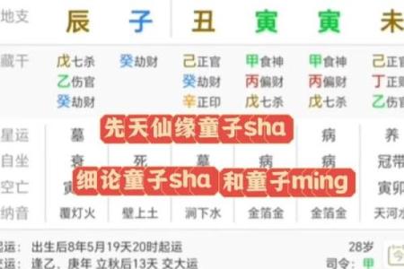 假童子命八字是怎样的，假童子命八字可以推算