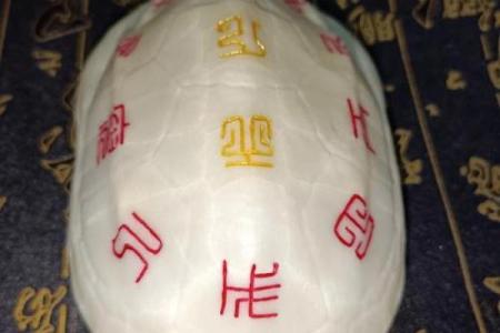 什么龟壳算命比较好