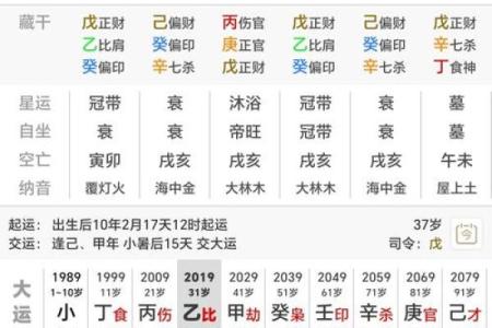 八字丁亥丙午大运
