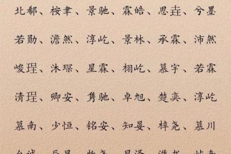 2019年6月24号寅时出生的男孩应该起什么样的名字姓名