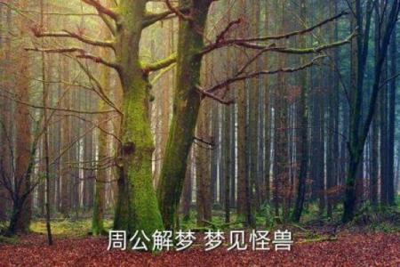 梦见看风水修路