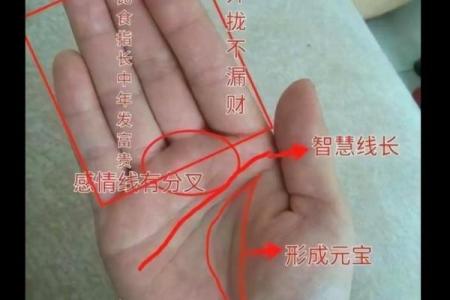 梦见看手相算命