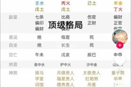 全阳八字女
