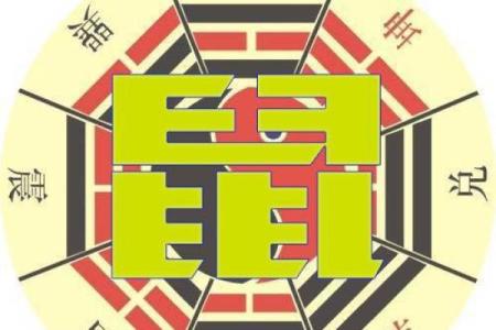 属鼠人风水吉凶方位，如何开运