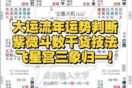 紫薇斗数中的加什么意思
