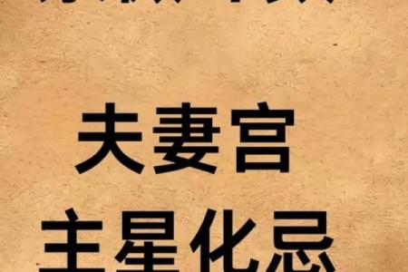 武广盛紫薇斗数
