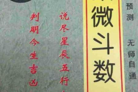 慧心斋紫薇斗数