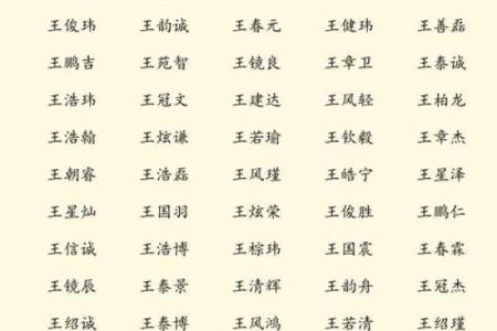 晚上8点出生的属鼠男孩的取名技巧姓名